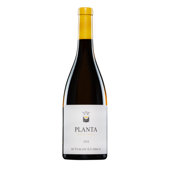 Planta Bianco Anaune 2022...