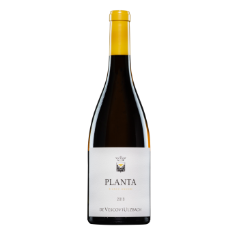 Planta Bianco Anaune 2021 De Vescovi Ulzbach