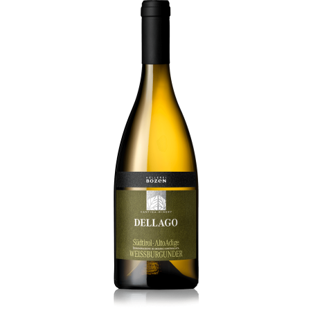 Pinot Bianco Dellago 2024 Cantina Bolzano