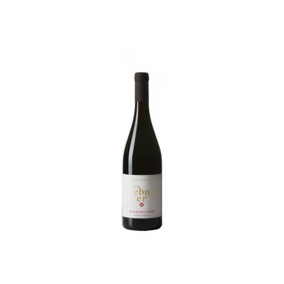 Pinot Nero 2021 Ten. Ebner