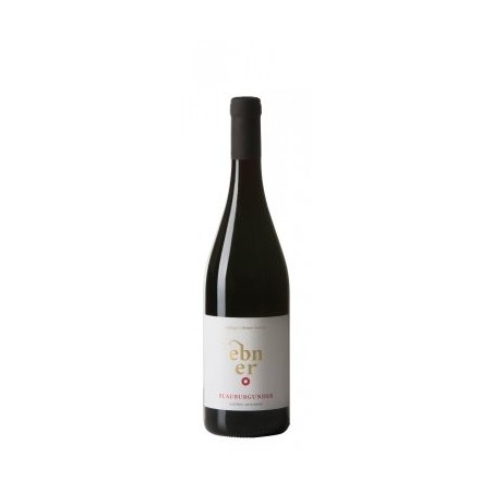 Pinot Nero 2021 Ten. Ebner