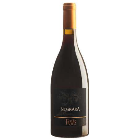 Negrara 2022 Cantina Pravis