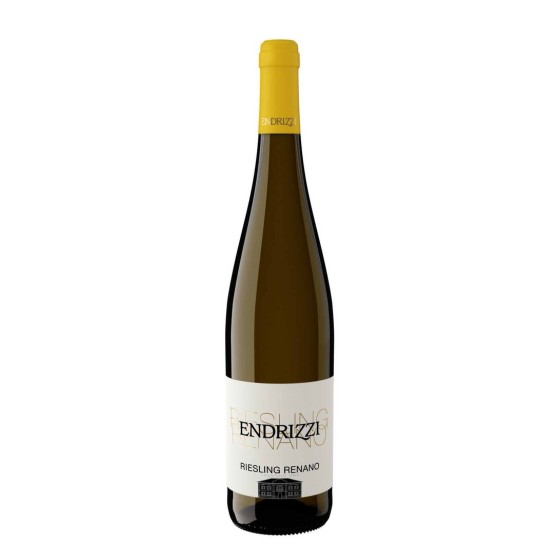 Riesling Trentino 2024 Cantina Endrizzi