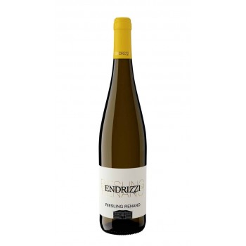 Riesling Trentino 2021 Cantina Endrizzi