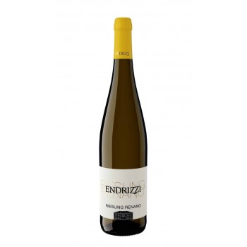 Riesling Trentino 2024 Cantina Endrizzi