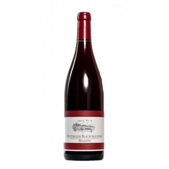 Pinot Nero Mazzon 2019 Cantina Gottardi