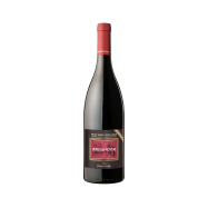 Burgum Novum Pinot Noir 2017 CASTELFEDER