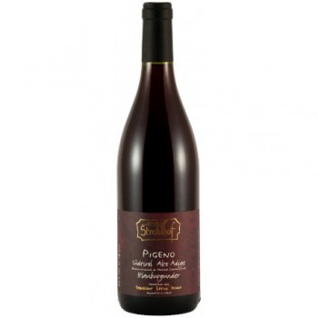 Pinot Noir Pigeno 2022 STROBLHOF