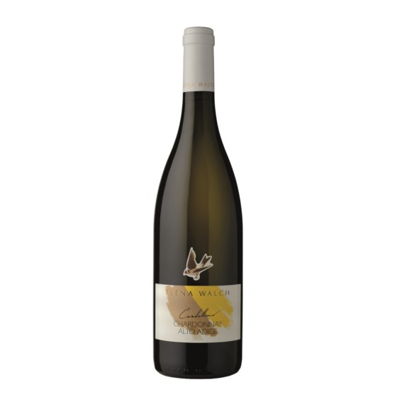 Cardellino Chardonnay 2025...