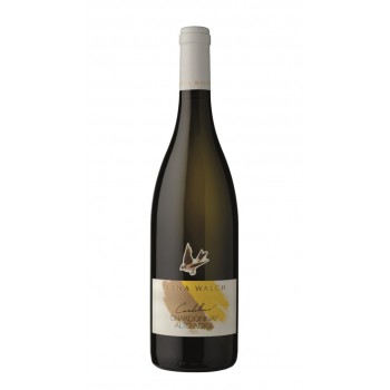 Cardellino Chardonnay 2019 E. Walch