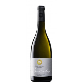 Praesulis Pinot Bianco 2023 Gump Hof