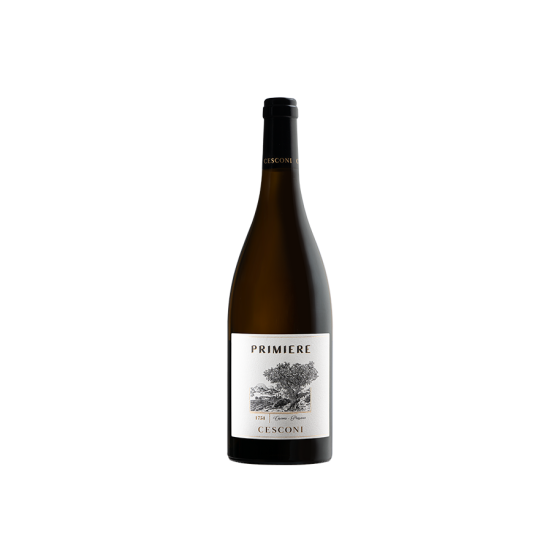 Primiere Pinot Grigio 2021 Cesconi