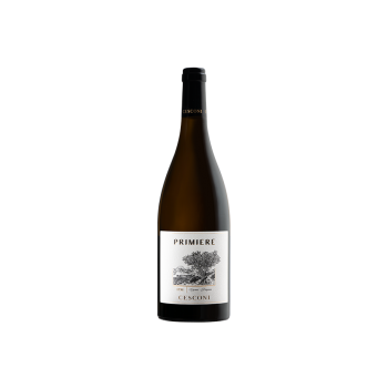 Primiere Pinot Grigio 2021 Cesconi