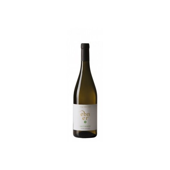 Sauvignon 2019 Tenuta Ebner